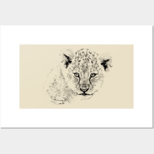 Baby Lion Cub | African Wildlife Posters and Art